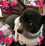 Terry Lomas - Facebook