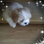 Terry Lomas - @terry.lomas.7 - Instagram