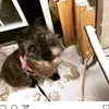Terry Lohmann - @terrylohmann - TikTok