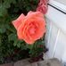 Terry Lovato - Facebook
