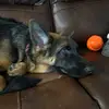 Terry Lu - @terry.lu2 - TikTok