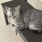 Terry Lu - Facebook