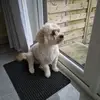 Terrylu6969 - @terrylu6969 - TikTok