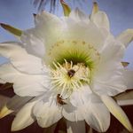 Terry Luce Hanvey - @love2laughgranny - Instagram