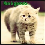 terryluce1 - @terryluce1 - Instagram