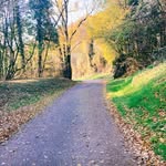 Terry Luna - @terryluna52 - Instagram