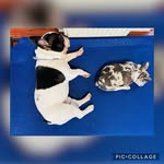 💛Terry🤎Luna💜 - @terry_and_luna - Instagram