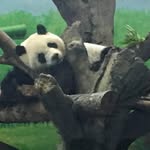 黃隆鍵 - @lung_terry - Instagram