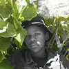 terrylunga - @terrylunga - TikTok