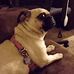 Theresa Luzader - Facebook