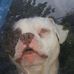 Terry Lytle - Facebook