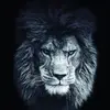 Terry Ma - @terryma9 - TikTok