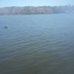 Terry Mabe - @terrymabe59 - Instagram