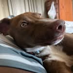 Terrence Mabry - @lckd.mabry - Instagram