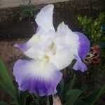 Terry mabry - @mabry2136 - Instagram