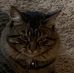 Theresa MacGregor - Facebook