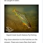 Terry MacKay - @smilingtroutmi - Instagram