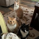 Terry MacKenzie - @terrymackenzie78 - Instagram