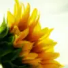 Terry_Macon - @terry_macon811 - TikTok