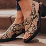 Terry MacRae - @solepowerbyterry - Instagram