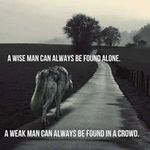 Terry Maher - @maraudermaher - Instagram