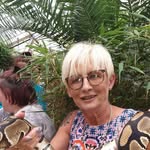 Terry Malcolmson - @malcolmsonterry - Instagram