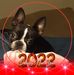 Teri Manges - Facebook