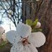 Manar Tara - Facebook