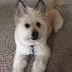 Terry Manns Cleghorn - @terry.cleghorn - Instagram