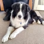 Terry Manson - Facebook