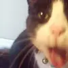 Terry Manson - @terry.manson7 - TikTok