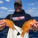 terry manson - @terrymanson__ - Instagram