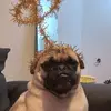 Terry Manuel - @terry.manuel - TikTok