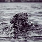 terry - @terry_manuel_ - Instagram