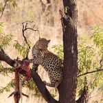 Terry Mapp - @terry.mapp - Instagram