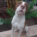 Terry Marcano - Facebook