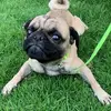 Terry_231070 - @terrymarch23 - TikTok