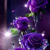terrymarch945 - @terrymarch945 - TikTok