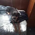 Terry Margeson - Facebook