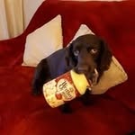 Terry Margeson - @scrollsawwizard - Instagram