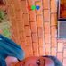 Terry Marion - Facebook