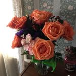 Terry Marion - @terrymarion2 - Instagram