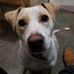 Terry Markward - Facebook