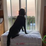 Terri McGroary Marston - @terrimarston - Instagram