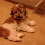 Terry Martell Martell - @terrymartell5814 - Instagram