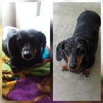 Terry Martinson - @terry.martinson.92 - Instagram