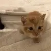 Terry Mathews - @terry.mathews2 - TikTok