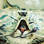 terry mathews - @dubstep_boy_7 - Instagram