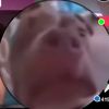 Terry Maxwell - @terrymaxwell242 - TikTok