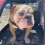 Terry Maxwell - @terrymaxwell17 - Instagram